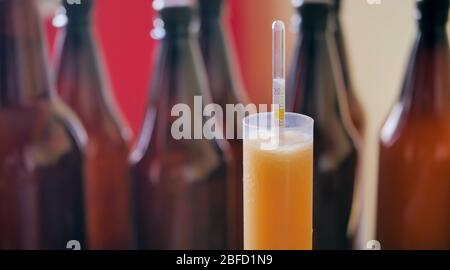 Using hydrometer to measure gravity of beer Stock Photo