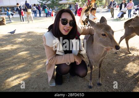 Nara Park is a large park in central Nara city, one of the oldest parks in Japan, established in 1880.  Over thousand of deer have become symbol. Stock Photo