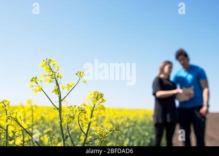 young male farmer and young female farmer on his field use smart technology to develop plants and improve their production Stock Photo