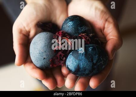 Blue Easter eggs painted with karkade and vinegar in trendy color. Dragon eggs style. Stock Photo