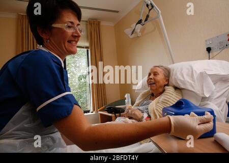 Nurse in dark blue uniform sitting on the bed talking to a smiling elderly woman patient in a London hospital, prior to taking the patient's blood sam Stock Photo