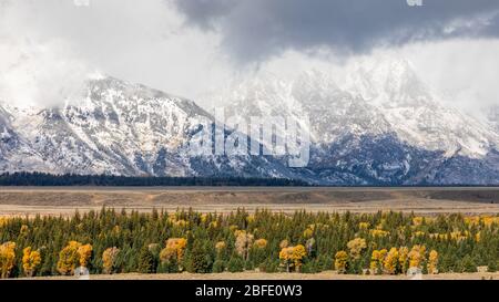 Snow cover mountains peak of Grand Teton surrounding by colorful trees in autumn of Grand Teton National Park, Wyoming, USA.
