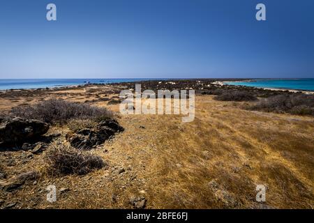 Chrissy island scenery on a sunny summer day with dry trees, brown soil and blue clear sky with haze. Crete, Greece. The southernmost island of Europe Stock Photo