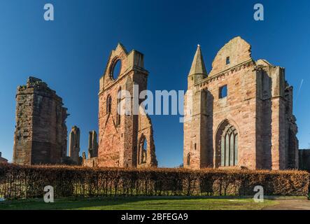 Arbroath Abbey Stock Photo