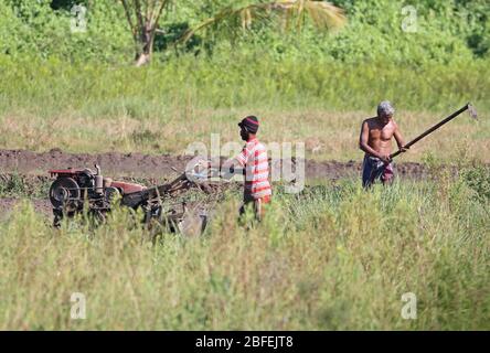 Colombo, Sri Lanka. 18th Apr, 2020. Sri Lankan farmer's prepares a paddy field during a government-imposed island-wide lockdown as a preventive measure against the COVID-19 coronavirus, in Athurugiriya, on the outskirts of Colombo on April 18, 2020. Credit: Pradeep Dambarage/ZUMA Wire/Alamy Live News