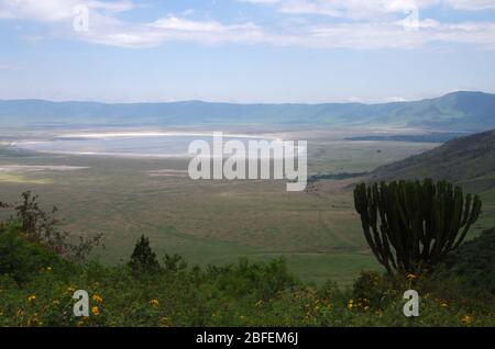 View of the Ngorongoro crater in Tanzania Stock Photo