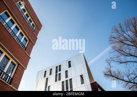 Modern architecture next to traditional architecture next to tree in front of the blue sky Stock Photo