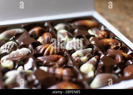 Seashell chocolates in a white box on a kitchen worktop. White and dark chocolates Stock Photo