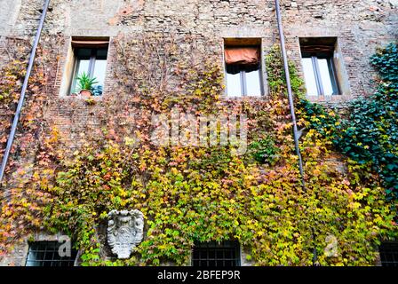 Vicenza Italy, view of a beautiful garden closed to the entrance of the Oympic theater. A wonderful place decorated with statue and art seen in autumn Stock Photo