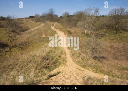 Sandy path leading over grass covered due in Merthyr Mawr nature reserve Stock Photo