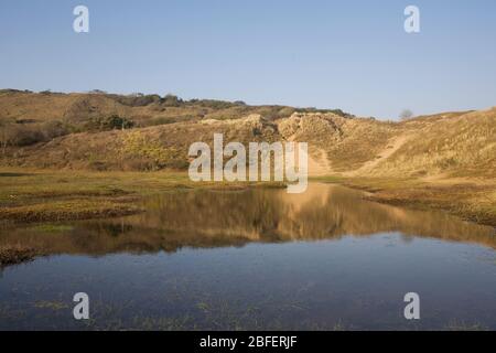 dune in Merthyr Mawr national nature reserve reflected in a temporary pool Stock Photo