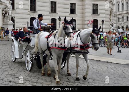 Vienna, Austria. Fiaker at Michaelerplatz in Vienna Stock Photo