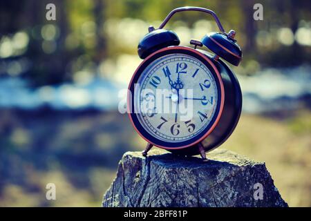 Alarm clock in the forest on the stump of an old fallen tree Stock Photo