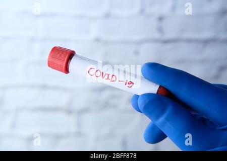 laboratory technician testing corona virus , COVID 19 test. Stock Photo