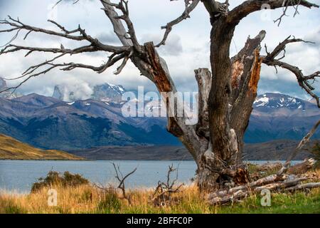 Pehoe lake in Torres del Paine National Park Puerto Natales, Ultima Esperanza Province, Patagonia, Chile. Stock Photo