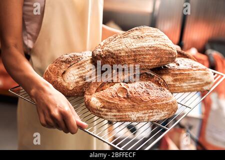 Young adult woman with tray of fresh bread Stock Photo