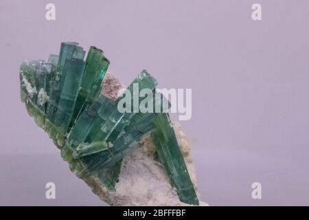 small tourmaline crystals on matrix Stock Photo