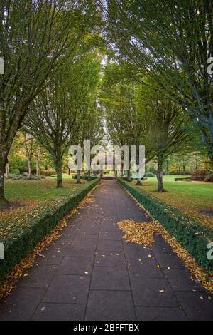 Peaceful view of the City park in Adare, County Limerick, Republic of Ireland on a autumn fall day in October. Stock Photo