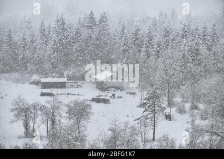 Winter mountain warehouses landscape with snow, beautiful pine trees covered by fresh snow, Tarvisio, Italy Stock Photo