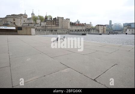 London, UK. 18th Apr, 2020. Day Twenty Six of Lockdown in London. Apart from a couple of pigeons and a handful of people, The Tower of London is deserted on a very quiet central London for a Saturday as the country is on lockdown due to the COVID-19 Coronavirus pandemic. People are not allowed to leave home except for minimal food shopping, medical treatment, exercise - once a day, and essential work. COVID-19 Coronavirus lockdown, London, UK, on April 18, 2020 Credit: Paul Marriott/Alamy Live News Stock Photo