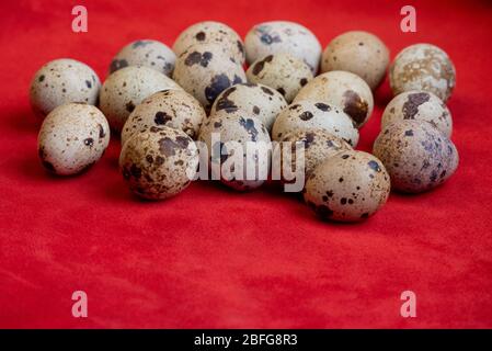 Creative quail egg layout on red background. Happy easter concept ...