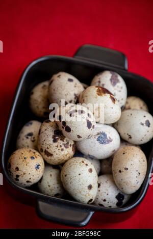 Creative quail egg layout on red background. Happy easter concept. Minimal design. Quail eggs on a red background. Useful product. Protein Stock Photo