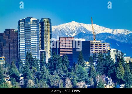 High Rise Buildings Apartments CityCenter Snow Capped Cascade Mountains Bellevue Washington Stock Photo
