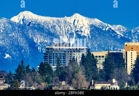 High Rise Buildings Hotels CityCenter Snow Capped Cascade Mountains Bellevue Washington Stock Photo