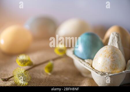 Holiday Easter card with easter eggs in a paper box and willow branch Stock Photo