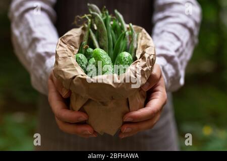 Man holding paper bag with fresh vegetables Stock Photo