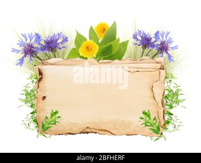 Old paper with wild flowers isolated on white Stock Photo