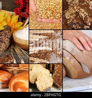 Bread and harvesting wheat collage Stock Photo