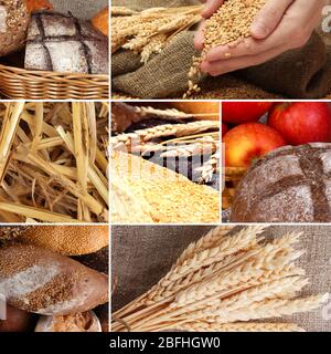 Bread and harvesting wheat collage Stock Photo