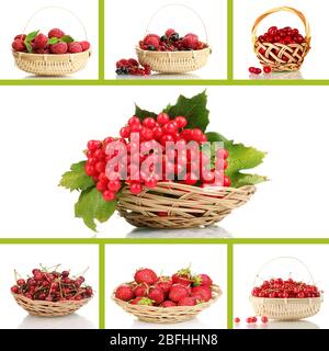 Collage of berries in wicker basket Stock Photo