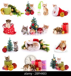 Collage of kittens and puppy with Christmas decorations isolated on white Stock Photo