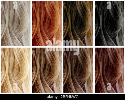 Hair Color Samples Stock Photo