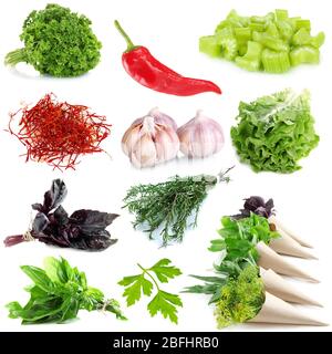Collage of herbs and spices isolated on white Stock Photo