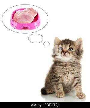 Small kitten dreaming of meat, isolated on white Stock Photo