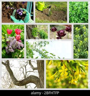 Spring season collage Stock Photo