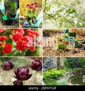Spring season collage Stock Photo