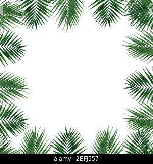 Beautiful palm leaves shaped as frame with space for your text Stock ...