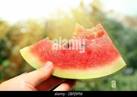 Slice of watermelon in hand on sunny nature background Stock Photo