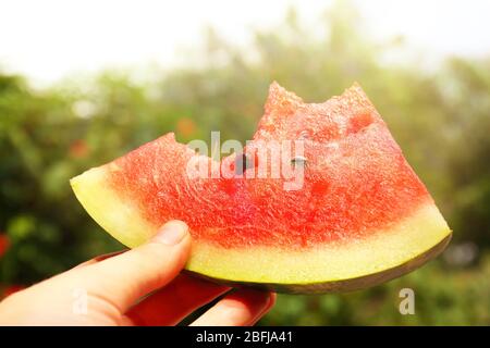 Fresh slice of watermelon in hand on sunny nature background Stock Photo