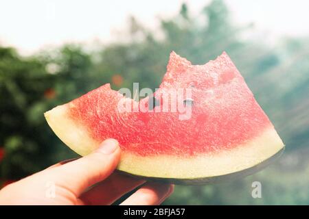 Slice of watermelon in hand on sunny nature background Stock Photo
