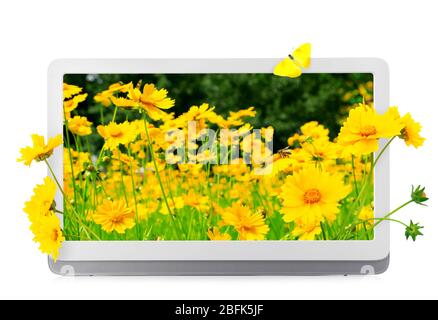 Tablet with nature wallpaper on screens isolated on white Stock Photo