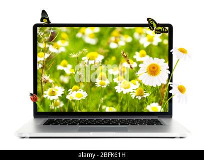 Laptop with nature wallpaper on screen isolated on white Stock Photo