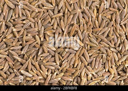 A background of dried cumin seeds Stock Photo