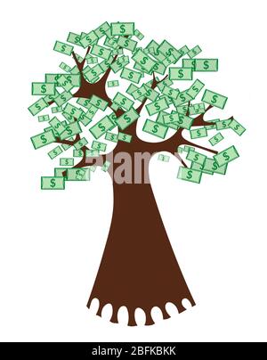 Money tree branch isolated on white background Stock Photo - Alamy
