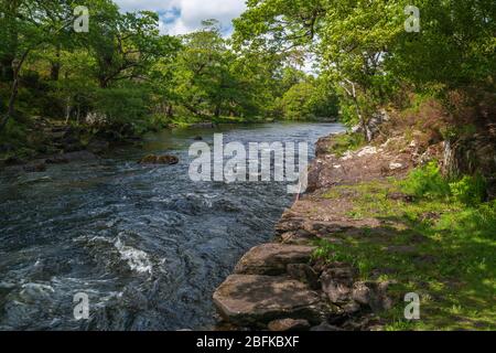 The River Laune at National Park in Killarney, County Cork, Ireland on ...