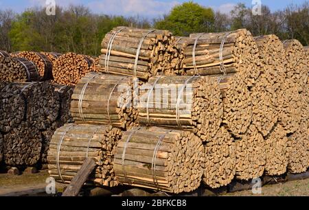Background with a lot of cut, split and stacked firewood, which is ready for sale Stock Photo